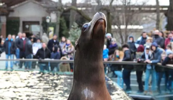 Central-park-zoo-new-york-city Central-park-zoo-new-york-city